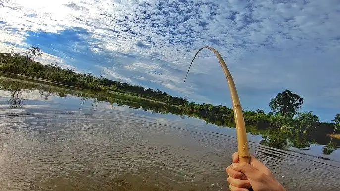 vara de bambu